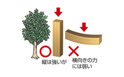 弱点1